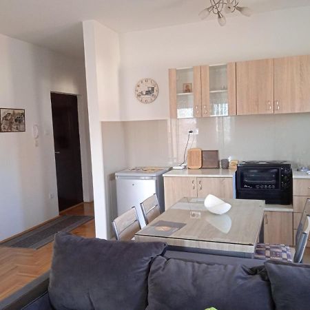 Apartment Srebrni Oblak Aranđelovac Eksteriør billede