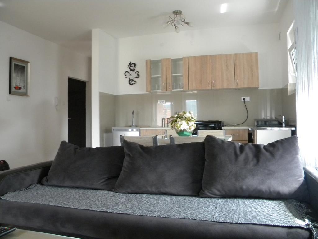 Apartment Srebrni Oblak Aranđelovac Eksteriør billede